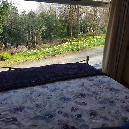 Ferienwohnung Hollybanks Moycullen Zimmer foto