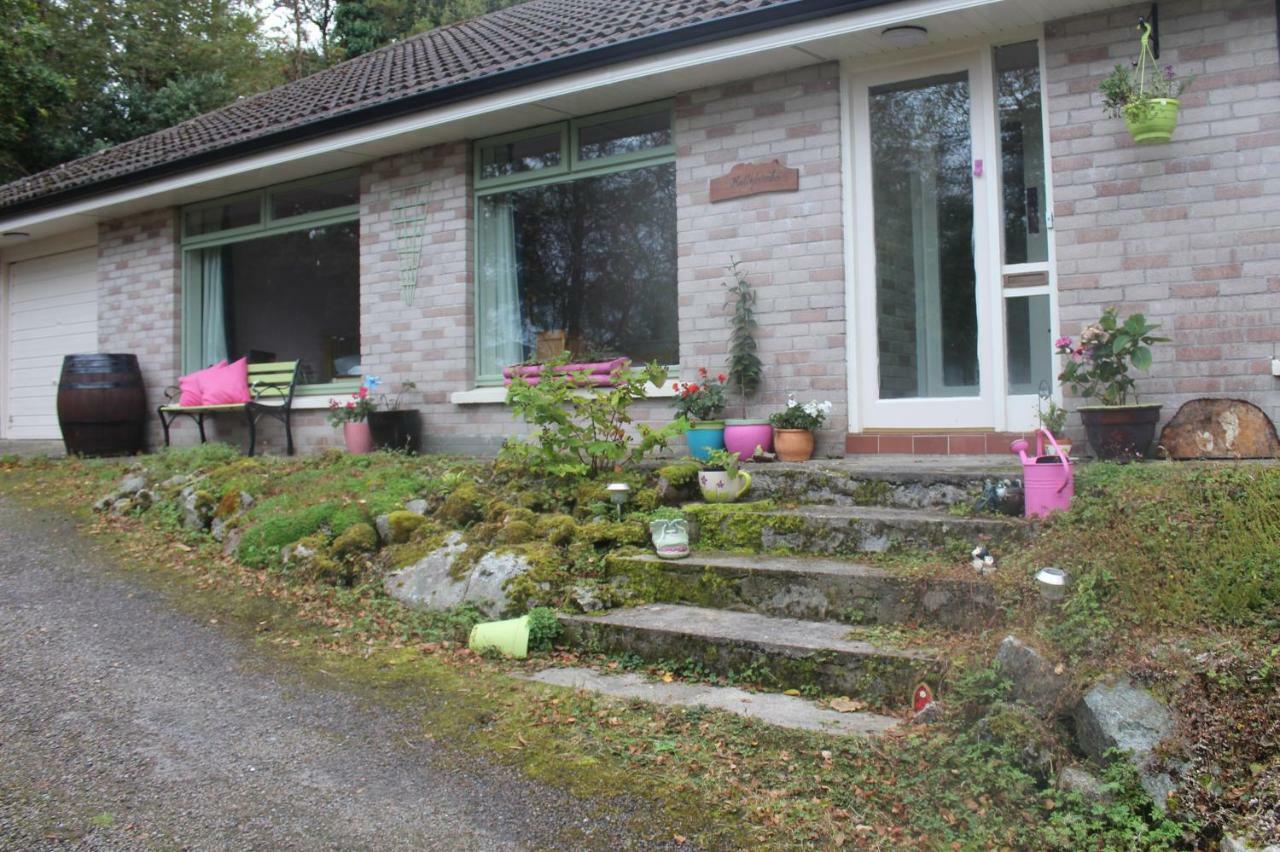Ferienwohnung Hollybanks Moycullen Exterior foto